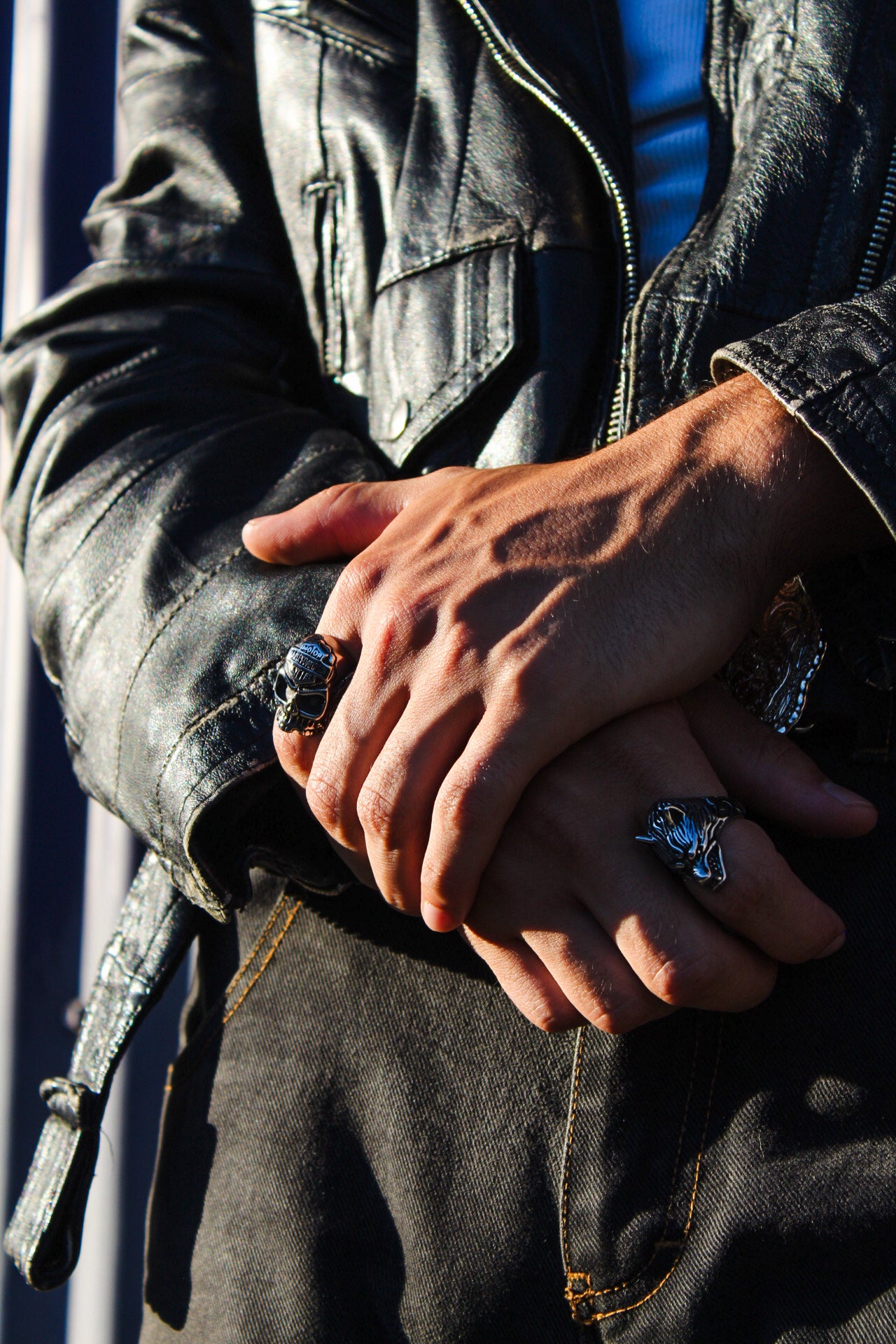 Anillos variedad